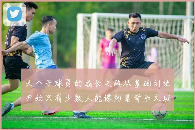 大个子球员的成长之路从基础训练开始只有少数人能像约基奇和文班那样成功